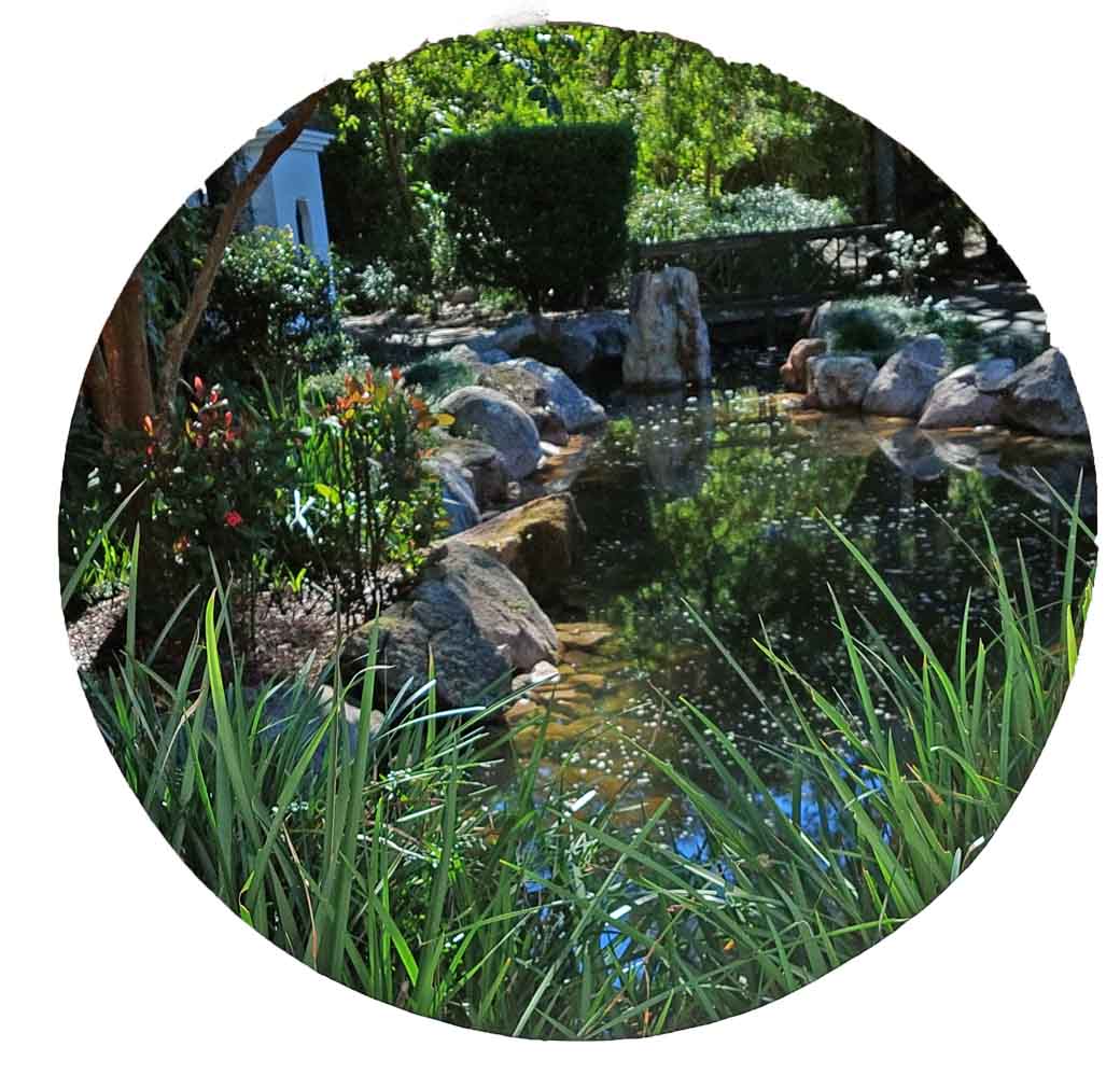 Chinese garden