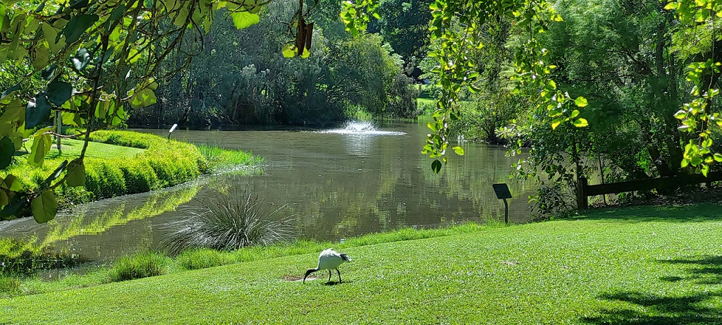 lake