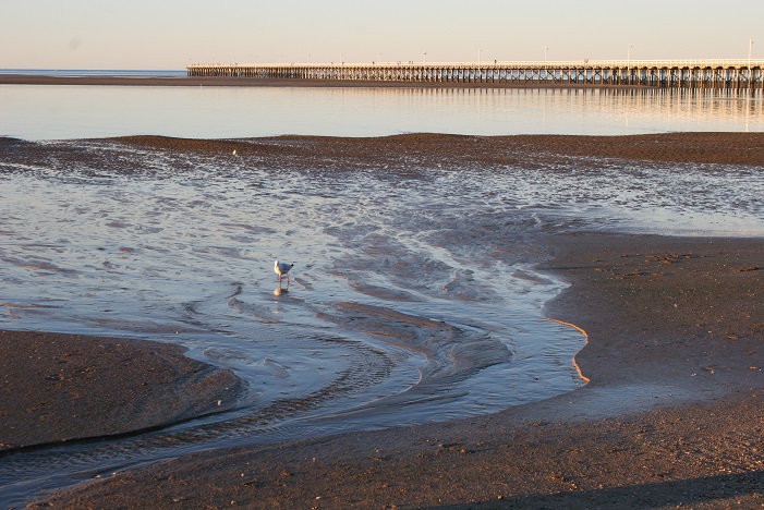 Urangan Pier 1