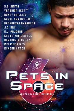 PISA6 Ebook Cover web