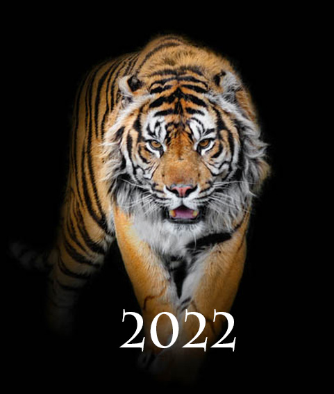 Tiger 1