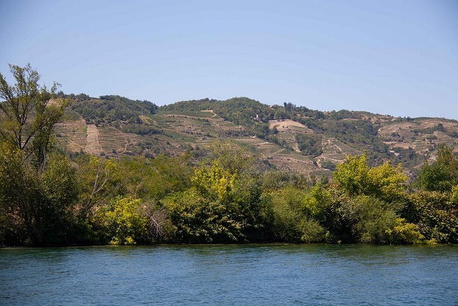 From the river 1 1