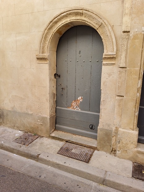 Tarascon 7 Tarascon 7
