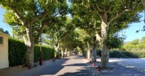 Viviers 2