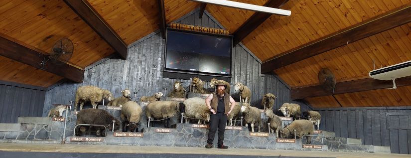 Agrodome 4
