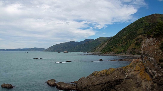 Coast