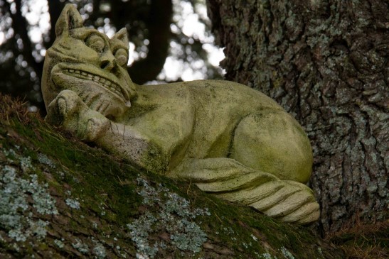 D 11 Larnach castle whimsical sculpture of the Cheshire cat