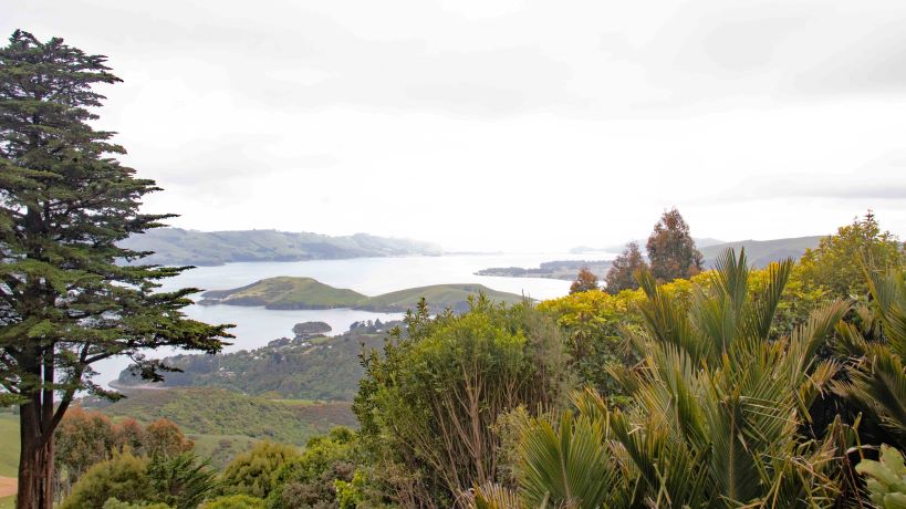 D 8 Larnach castle wonderful view of the estuary