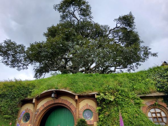 Hobbiton - the tree above Bag End. complete with artificial foliage