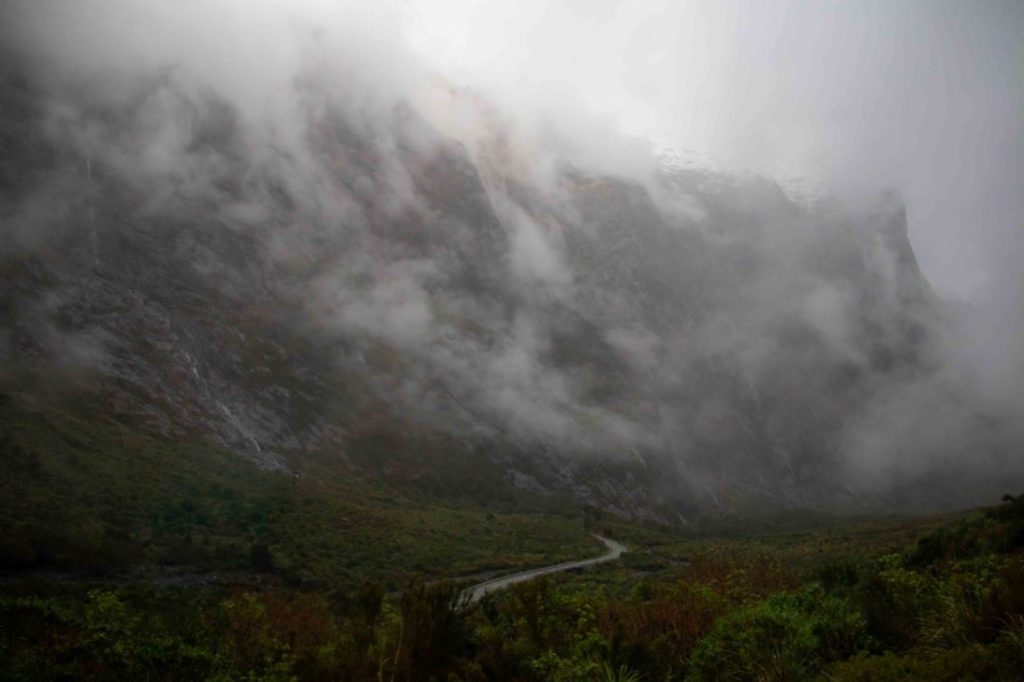 The road into the sound - winding and misty and rather spooky