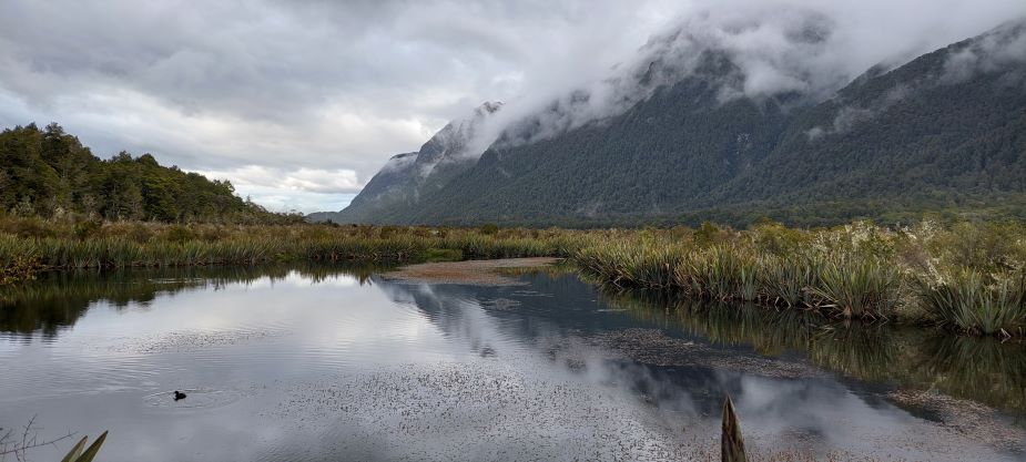 Mirror lake and a duck with cloud covered mountains on the right