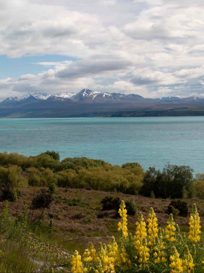 Mt Cook 61