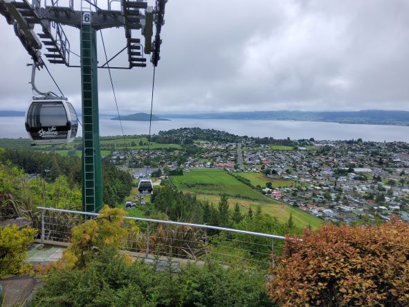 Rotorua 1