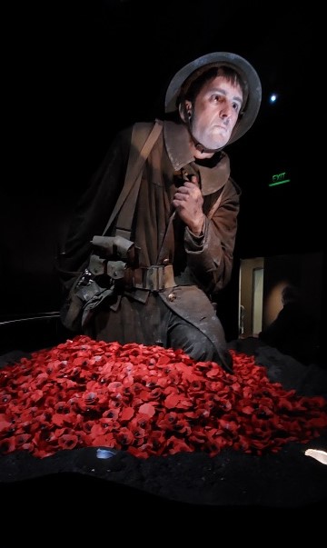 Soldier with poppies Soldier with poppies