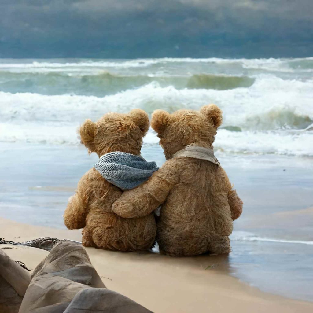 Teddys at beach Teddys at beach