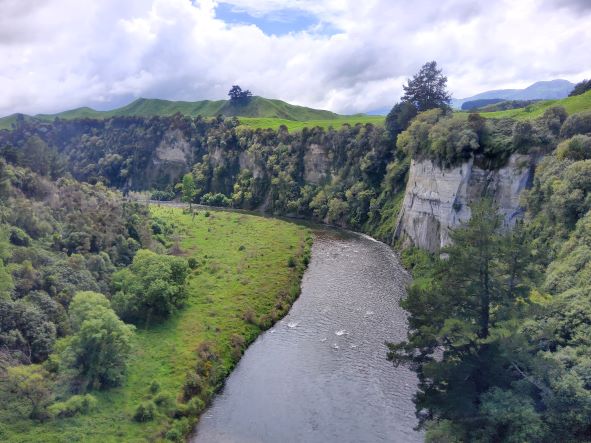Waikato river