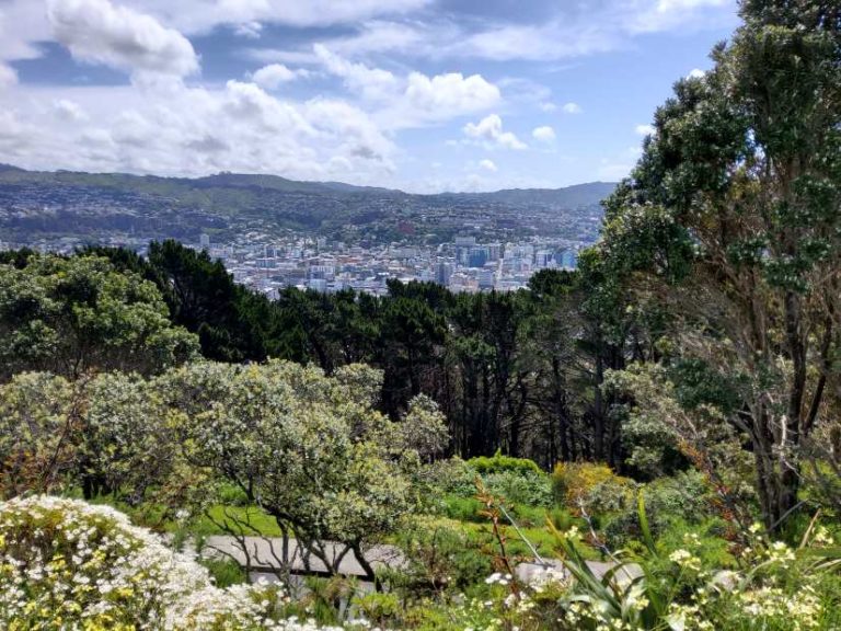 Wellington 6