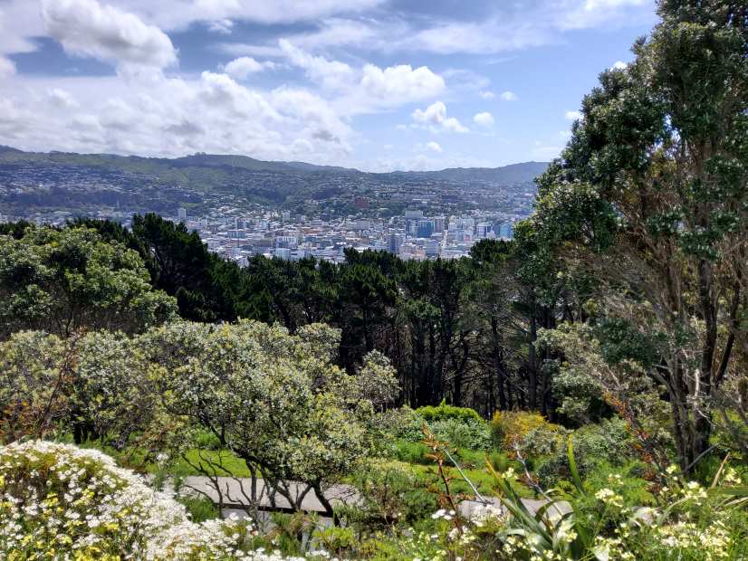 Wellington 6