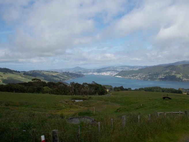 Dunedin 1