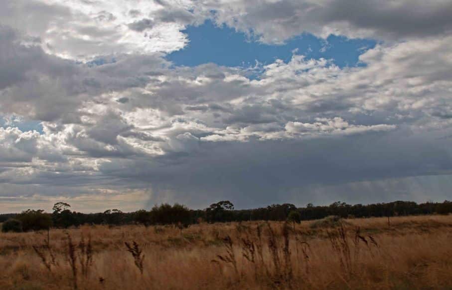 Distant rain