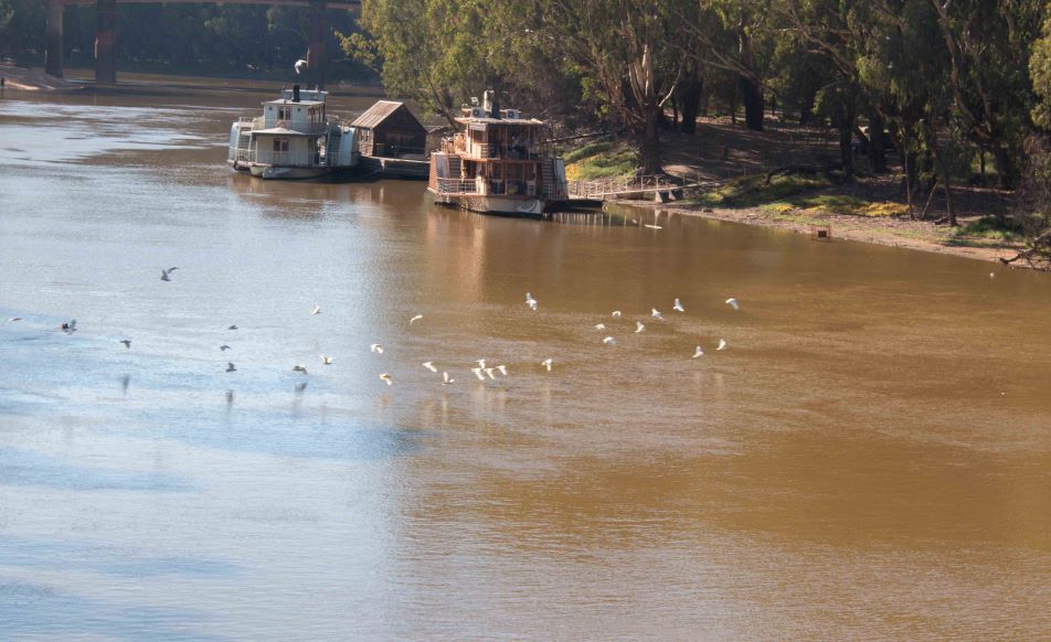 Echuca 1