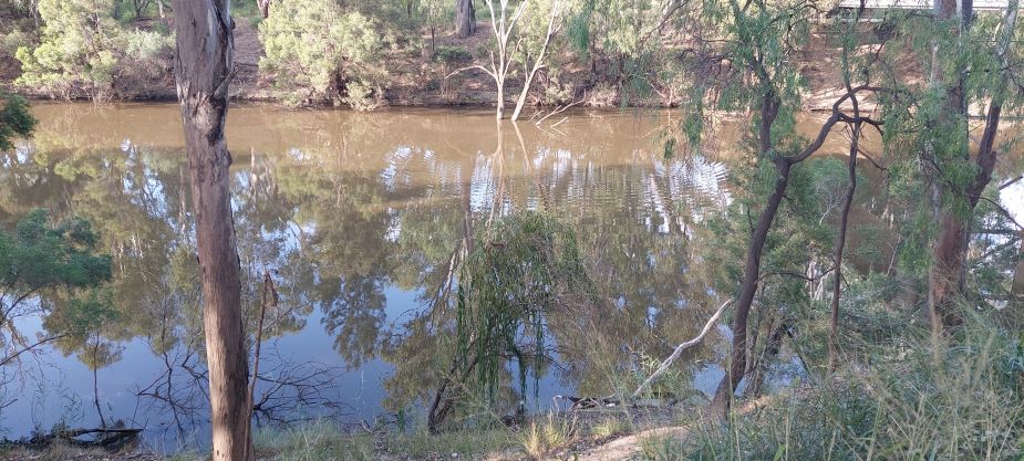 Goondiwindi river