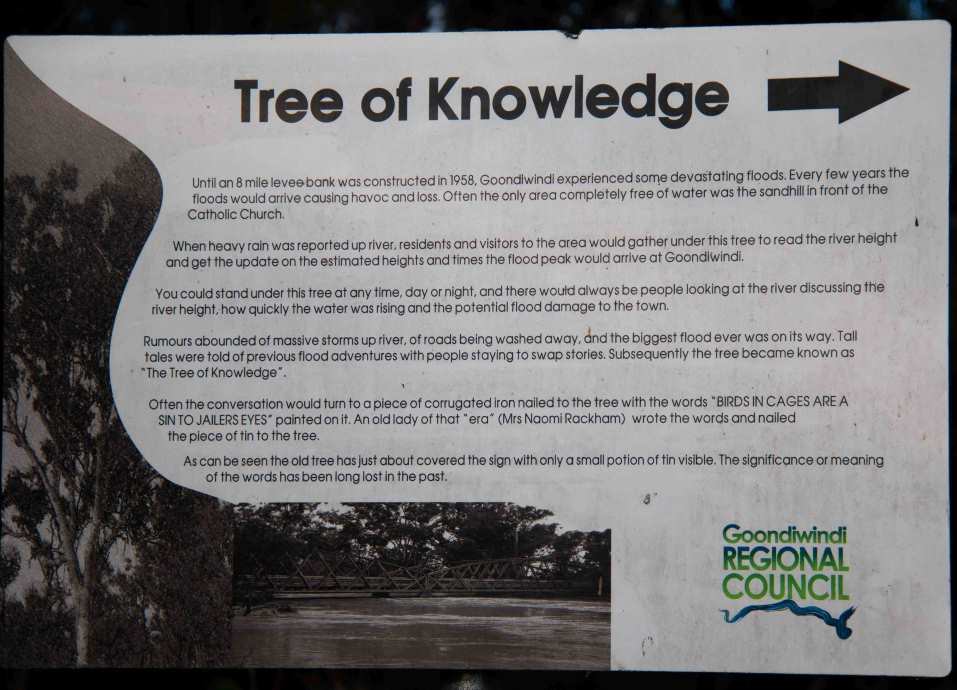 Info
