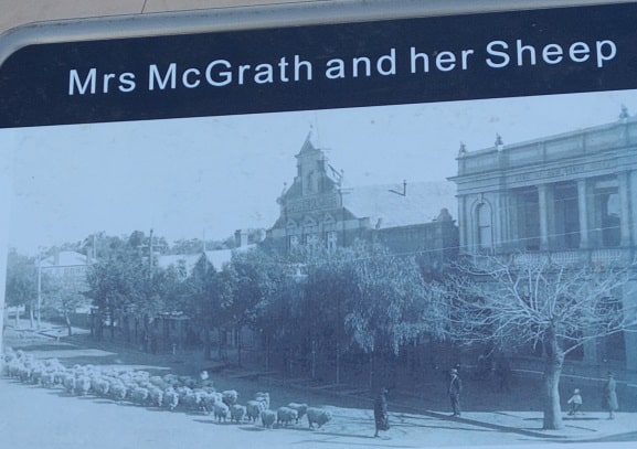 McGrath story