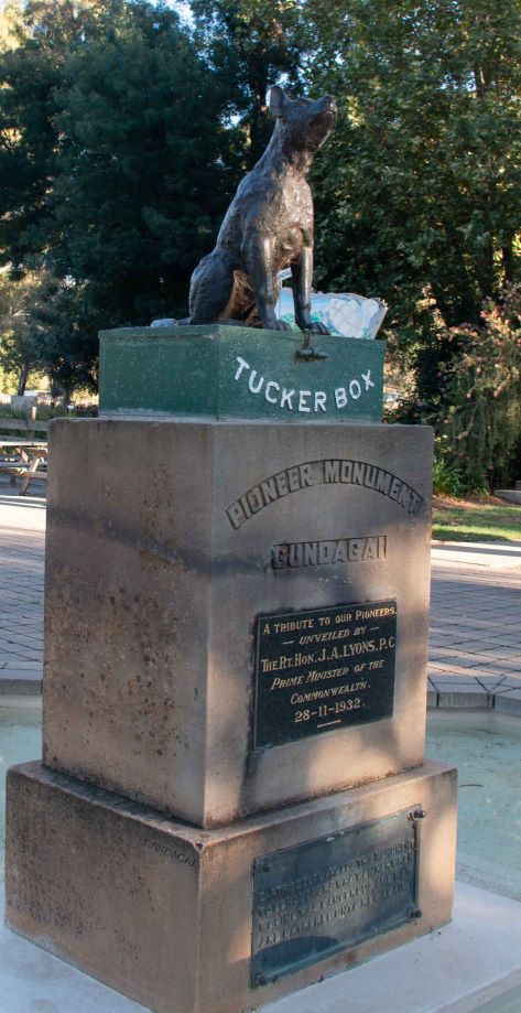 Dog on Tuckerbox
