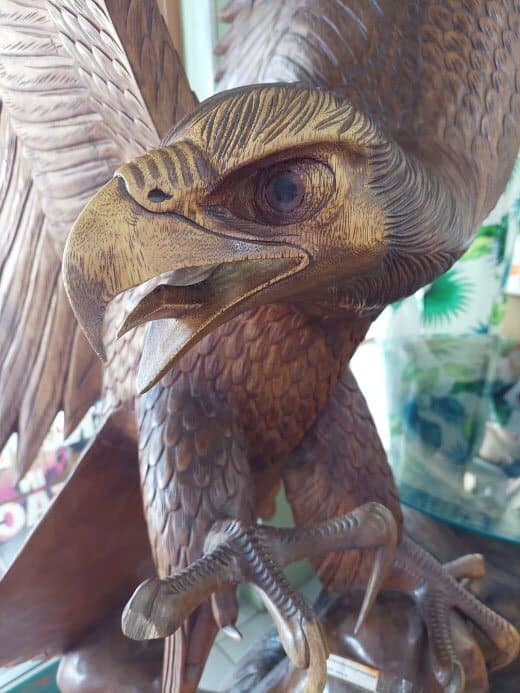 eagle Fiji rotated