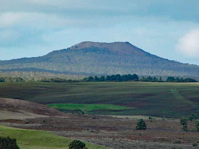 Mt Napier