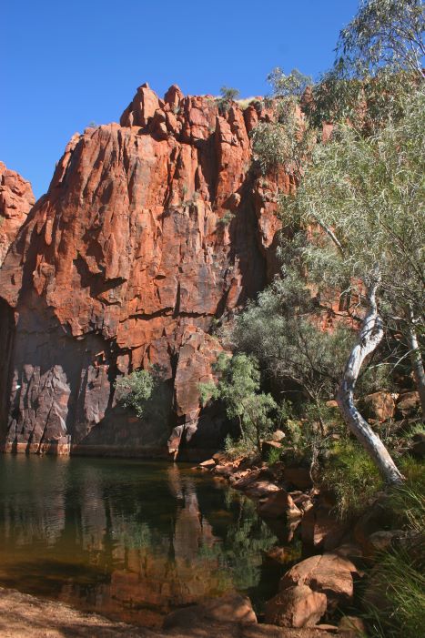 Pythons Pool
