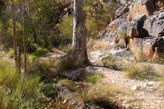 Standley chasm 3