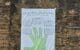 Green hand Norfolk rotated