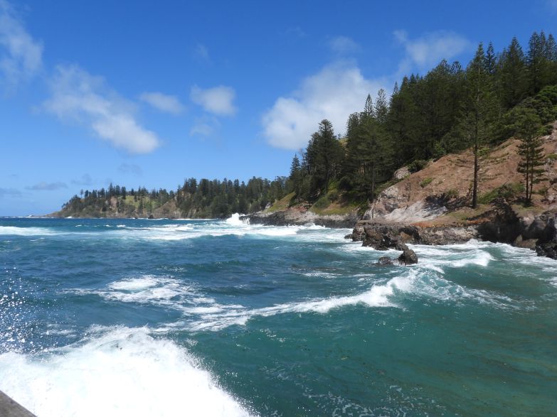 Norfolk Island rocky coastline from the pier featuring the iconic pine trees