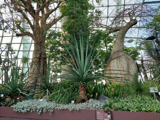 arid arid