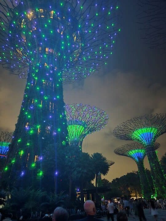 supertree 3 rotated supertree 3 rotated