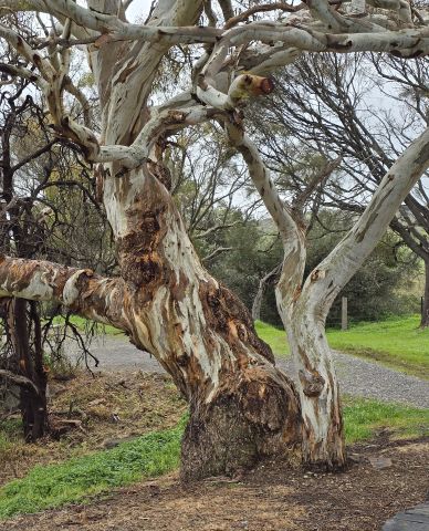 Bar 3