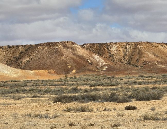 CP 19
