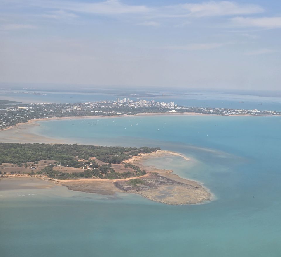 darwin 1
