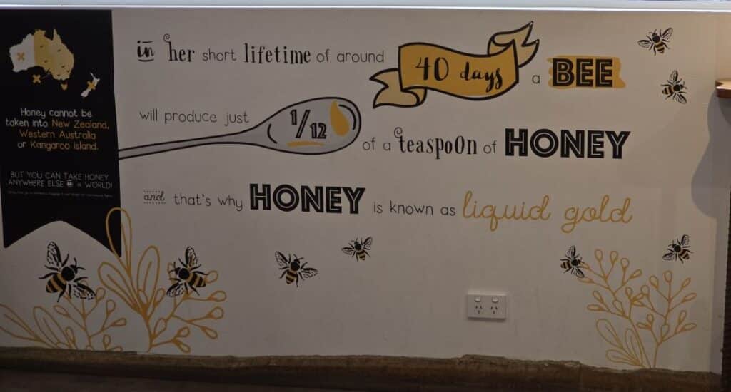 Bruny Island honey poster explains that a bee will produce just 1/2 a teaspoon of honey in her life