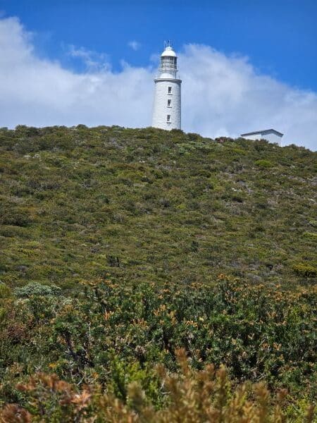 Bruny lighthouse showing the steep scramble from the bus