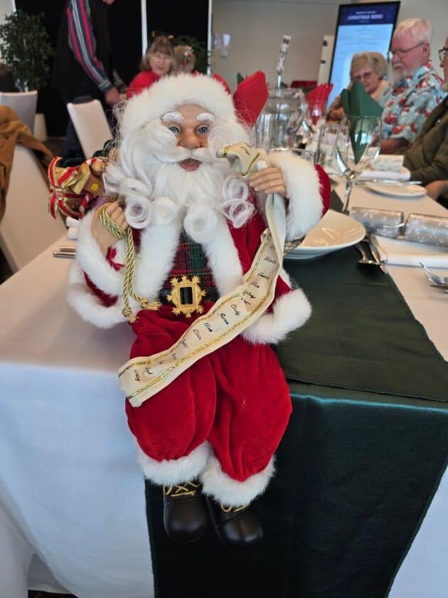 Christmas Santa