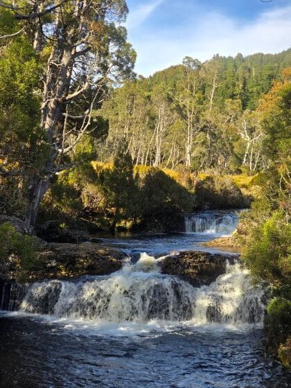 Pencil pine falls Cradle Mountain