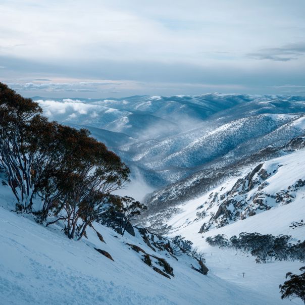 Snowy mountains